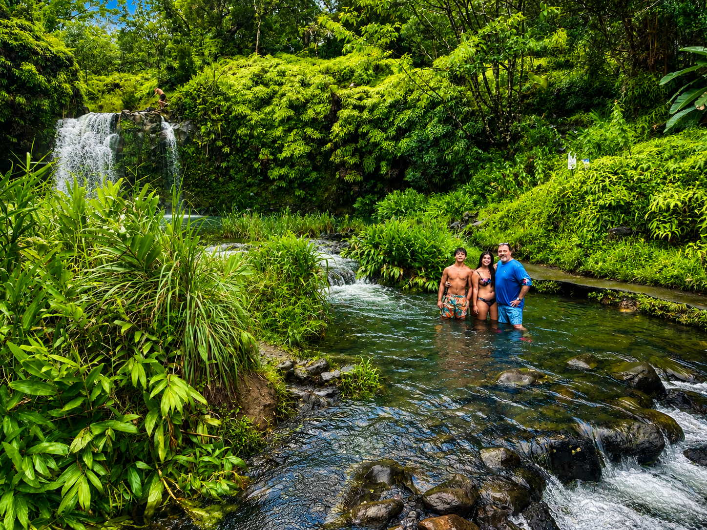 Guests swimming below a Road to Hana waterfall