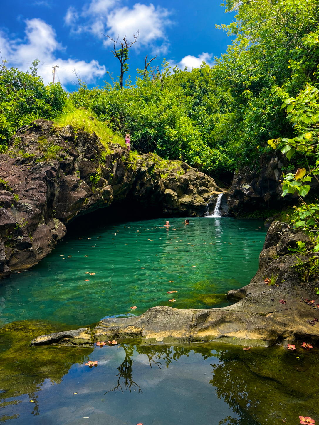 Hidden freshwater swimming hole on the Road to Hana