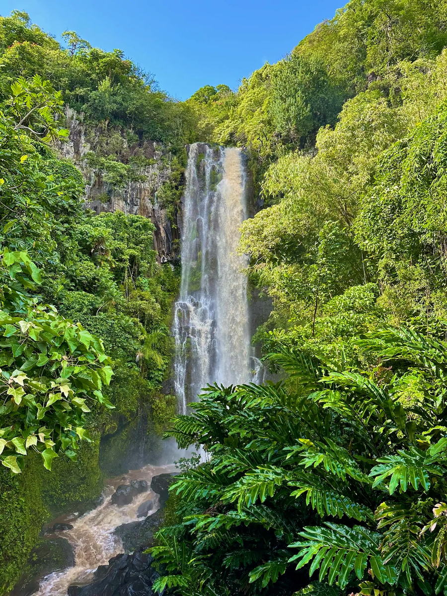 A tall roadside waterfall in the East Maui rainforest