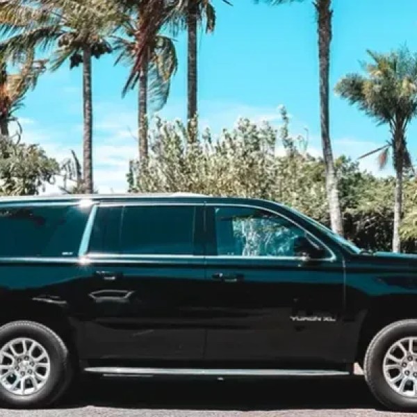 imgi_34_rsw_600cg_truem-2